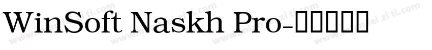 WinSoft Naskh Pro字体转换